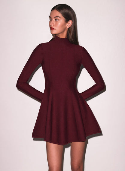 Long Sleeve Flared Corset Dress